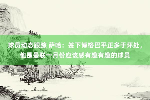 球员动态跟踪 萨哈：签下博格巴平正多于坏处，他是曼联一月份应该感有趣有趣的球员