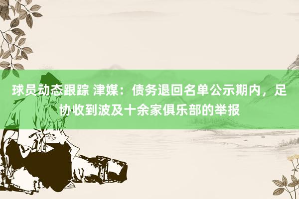 球员动态跟踪 津媒：债务退回名单公示期内，足协收到波及十余家俱乐部的举报