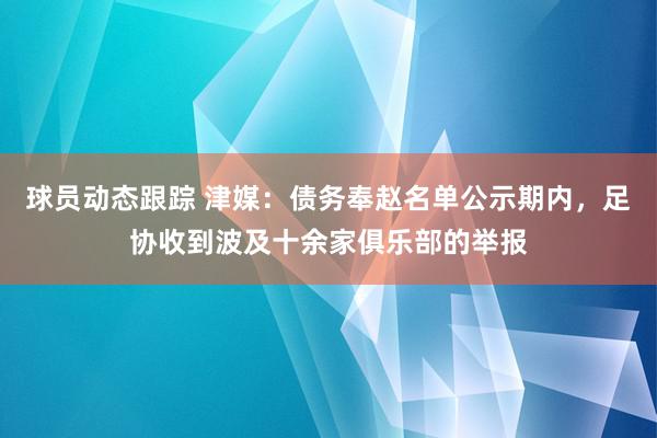 球员动态跟踪 津媒：债务奉赵名单公示期内，足协收到波及十余家俱乐部的举报